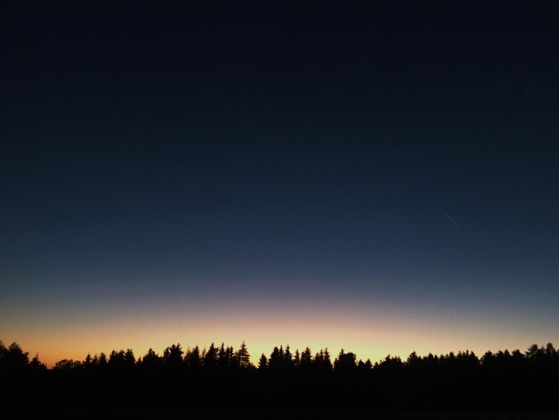 Foto silhouette di alberi sul campo contro un cielo limpido di notte