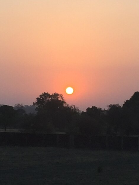 Silhouette trees on field against orange sky