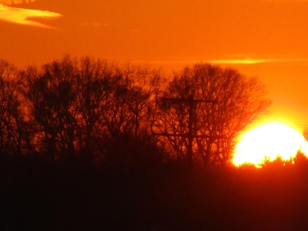 Foto silhouette di alberi sul campo contro il cielo arancione