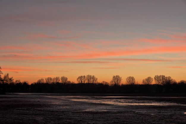 Silhouette trees on field against romantic sky at sunset