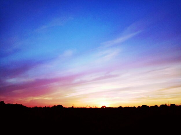 Silhouette trees on field against sky at sunset