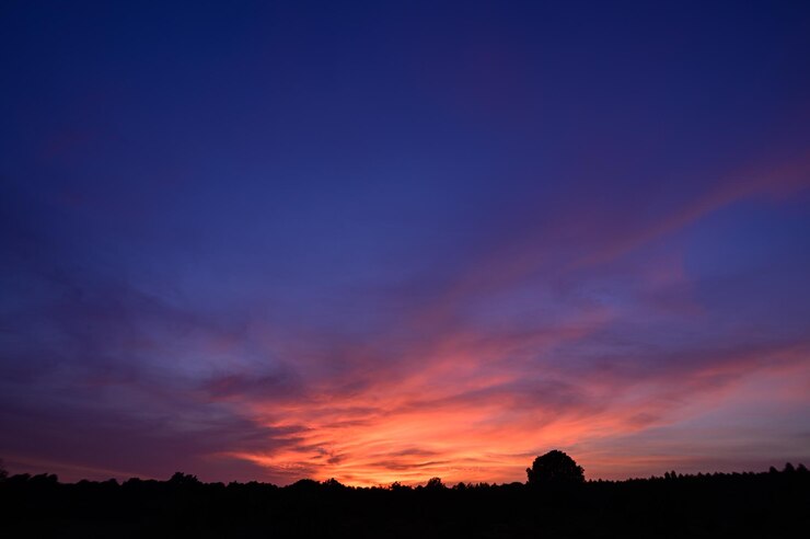 Photo silhouette trees on field against sky at sunset