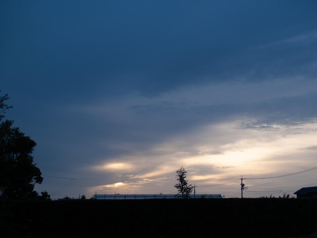 Silhouette trees on field against sky at sunset