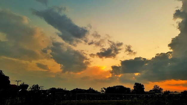 Silhouette trees on field against sky at sunset