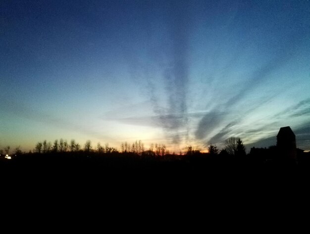 Foto silhouette di alberi sul campo contro il cielo al tramonto