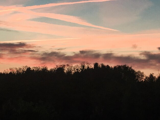 Photo silhouette trees in forest against sky at sunset