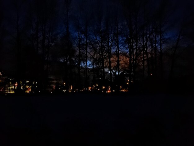 Photo silhouette trees at forest during night