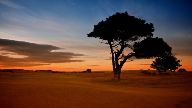 Silhouette of trees on landscape against cloudy sky