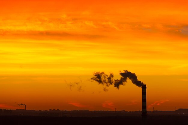 Silhouette trees on landscape against orange sky