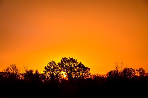 Silhouette trees on landscape against romantic sky at sunset