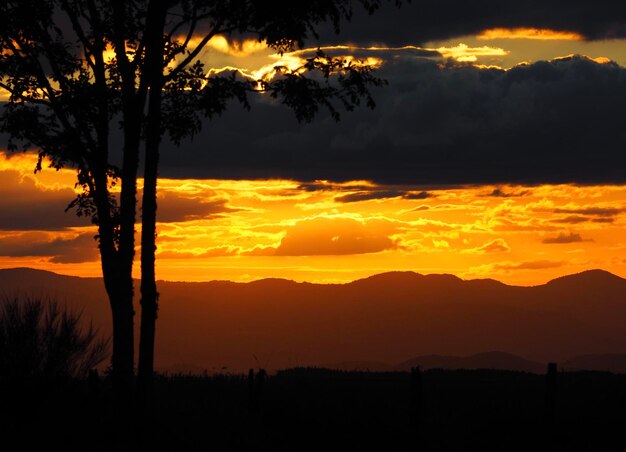 Photo silhouette trees on landscape against sky during sunset