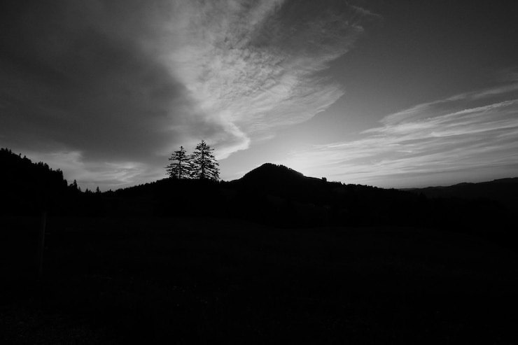 Photo silhouette trees on landscape against sky