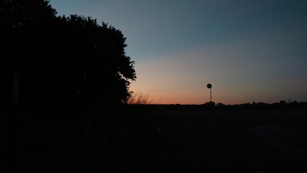 写真 夕暮れの晴れた空を背景に畑の木のシルエット