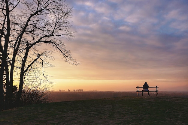 写真 夕暮れの空を背景に畑の木のシルエット