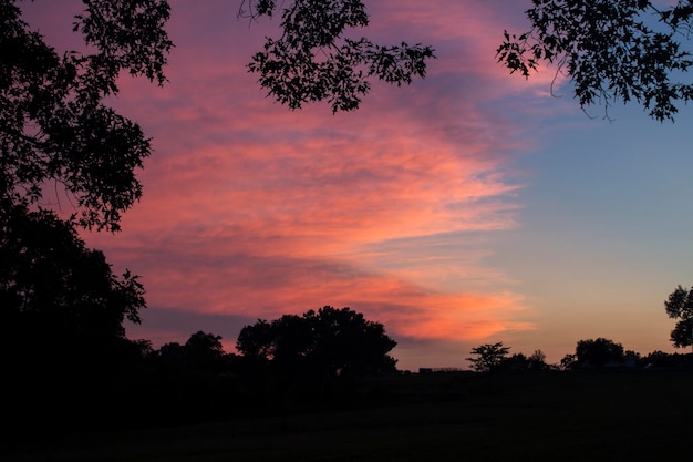 写真 夕暮れの空を背景にした風景の木のシルエット