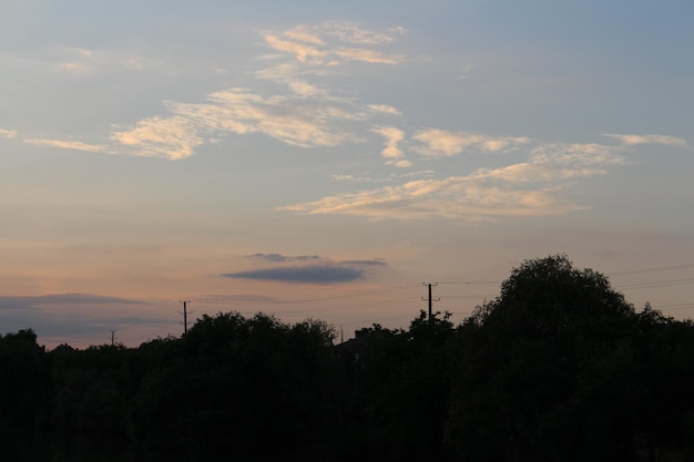 A silhouette of trees and power lines