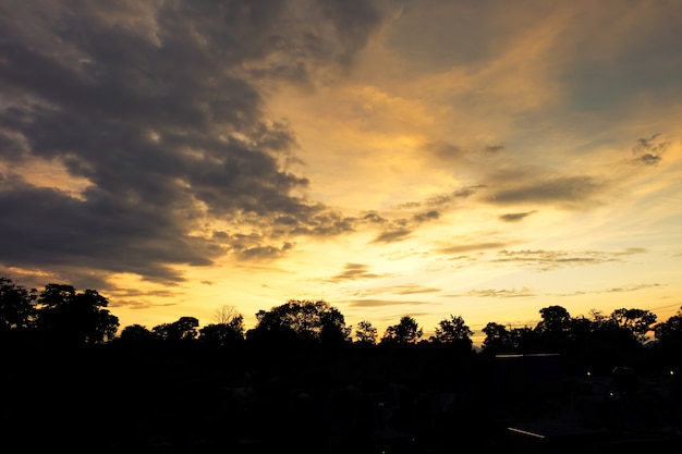 Silhouette of trees and sky with clouds in the sunset.