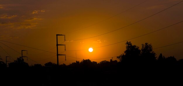 Silhouette of trees at sunset