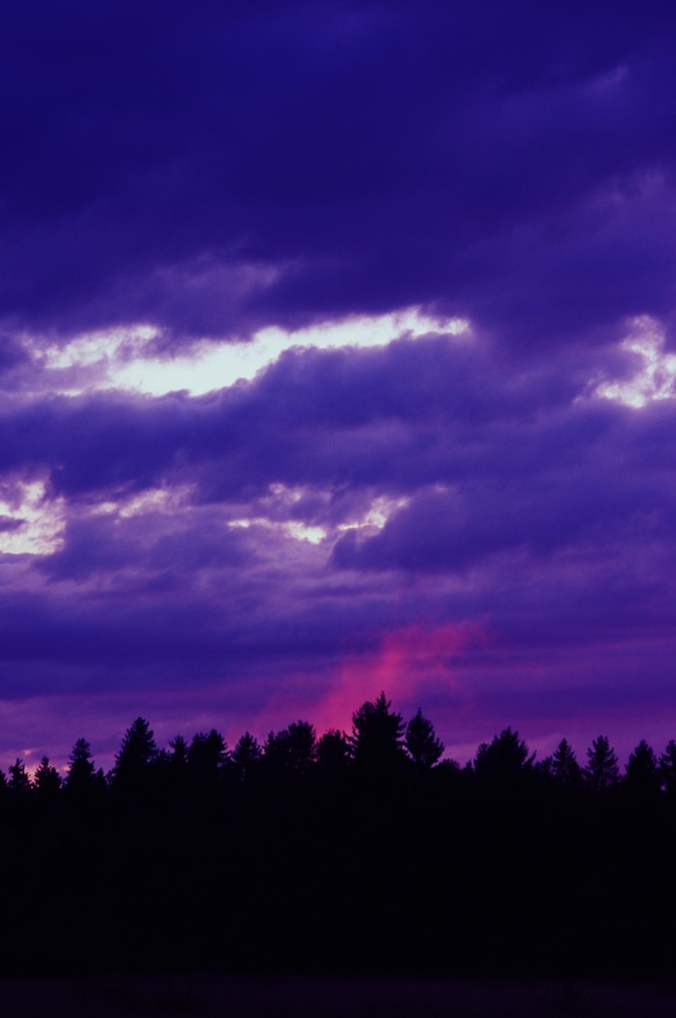 Photo 夕暮れの木のシルエット