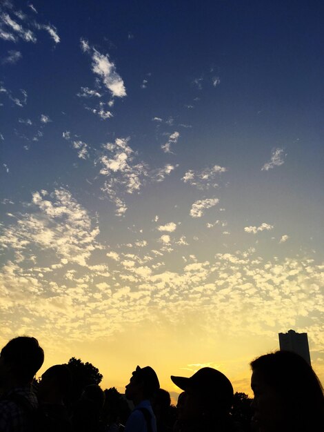 Photo silhouette of trees at sunset