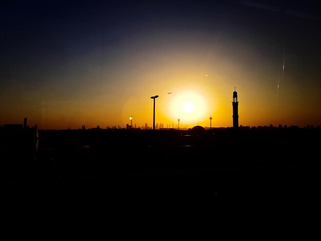 Silhouette of trees at sunset