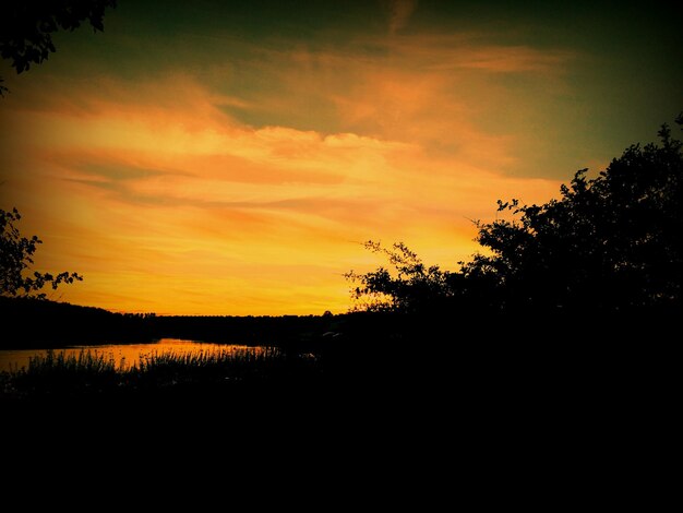 Photo silhouette of trees at sunset