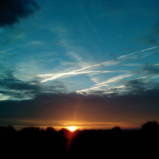 Silhouette of trees at sunset