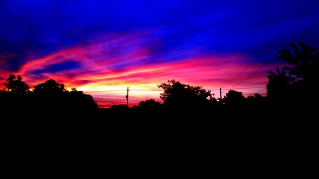 Photo silhouette of trees at sunset