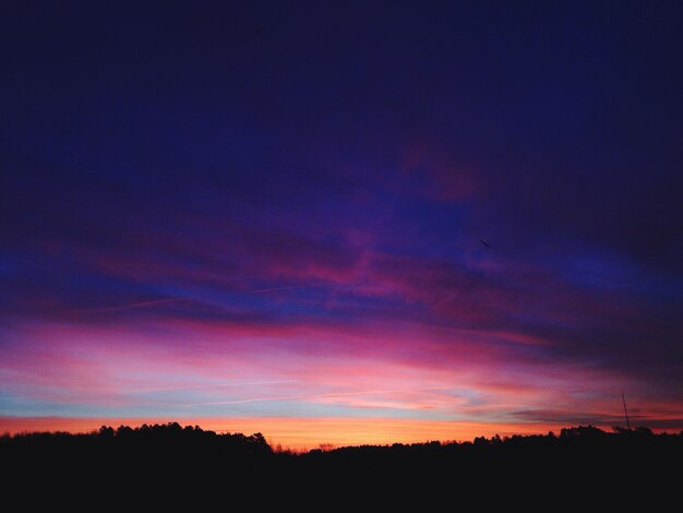 Silhouette of trees at sunset