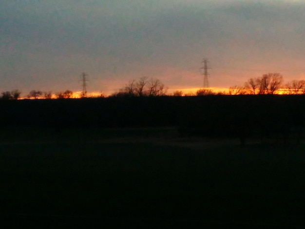 Photo silhouette of trees at sunset