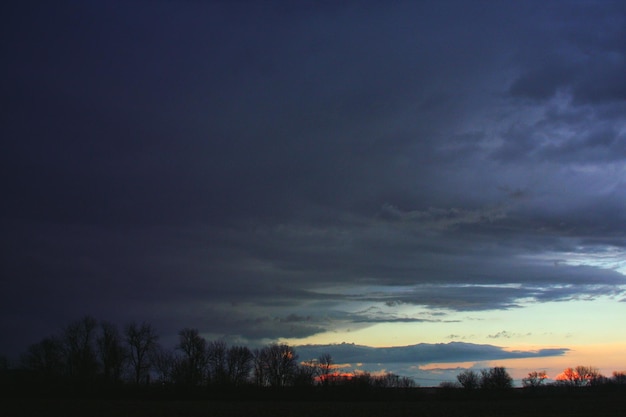 Photo silhouette of trees at sunset