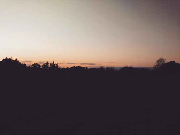 Photo silhouette of trees at sunset