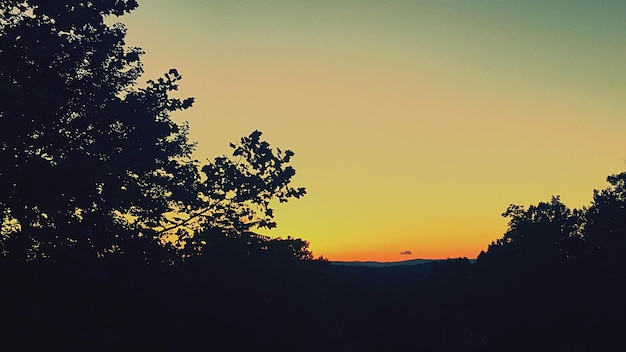 Photo silhouette trees at sunset