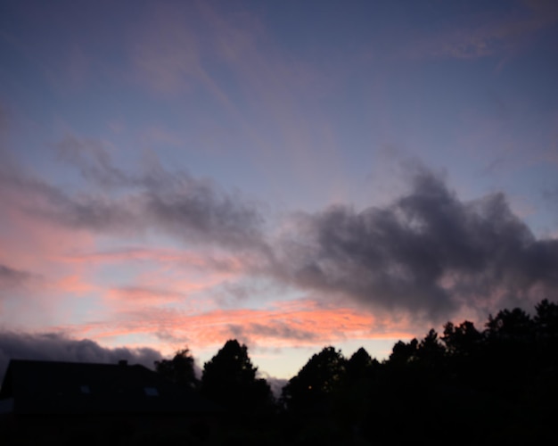 Silhouette of trees at sunset