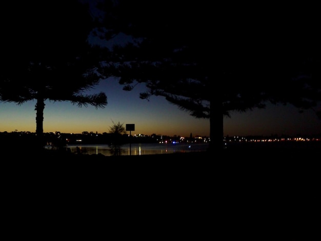 Photo silhouette of trees at sunset