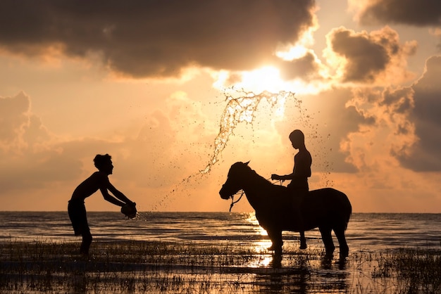 The silhouette of two boys with their horse at the sea. they are happy.