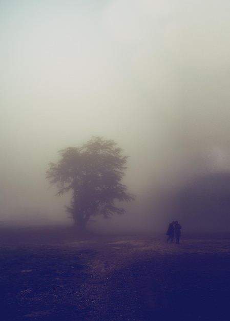 Foto silhouette vrienden staan bij boom op het veld tijdens mistig weer