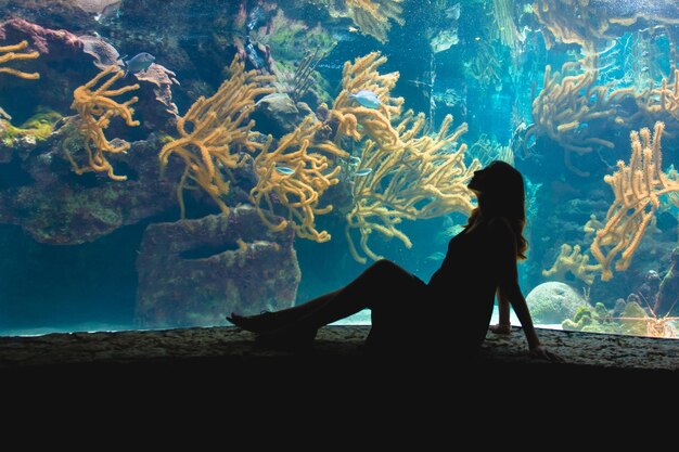 Photo silhouette a woman against the background of aquarium