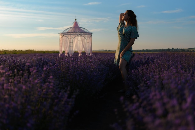 Photo silhouette of a woman in a lavender field