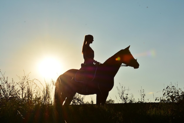 夕暮れの空の向こうの野原で馬に乗って座っている女性のシルエット