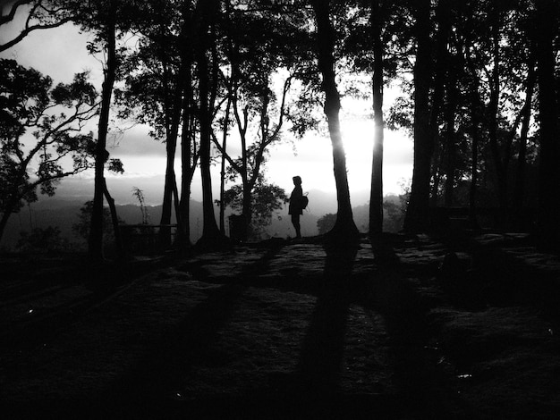 Silhouette woman standing amidst trees