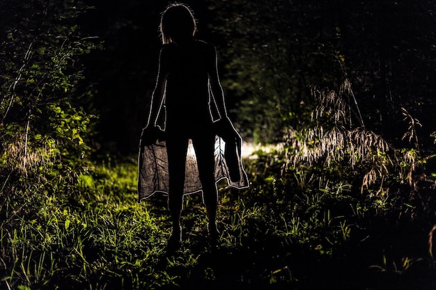 写真 夜フィールドに立っているシルエットの女性