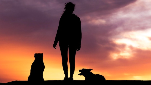 夕暮れの空に向かって立っている犬のシルエットの女性