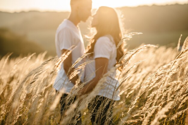 シルエットの若いカップルはハグ、フィールドで屋外で秋にキス、夕日に草。男性と女性。フレンドリーな家族の概念。上半分。閉じる。