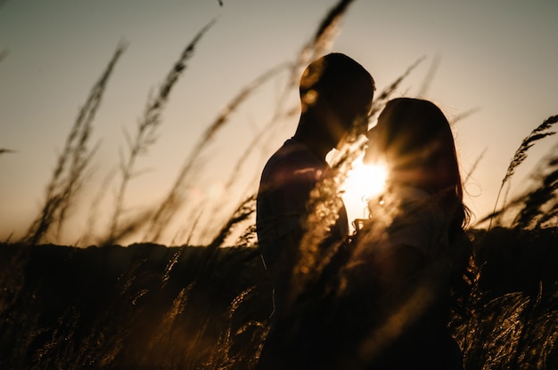 Silhouette young couple hugging and kissing in autumn at an outdoor on field, grass over sunset. Man and woman. Concept of friendly family. upper half. Closeup.