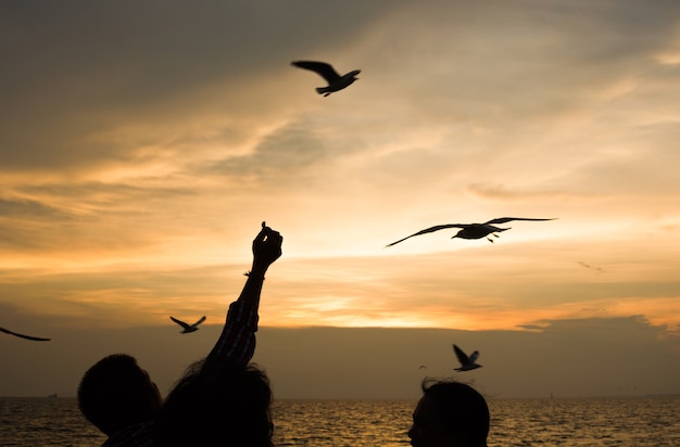 Silhouetten Mensen voeden de vogel.