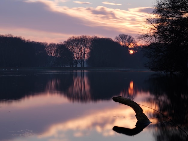 Silhouetten van bomen bij het meer tegen de hemel bij zonsondergang