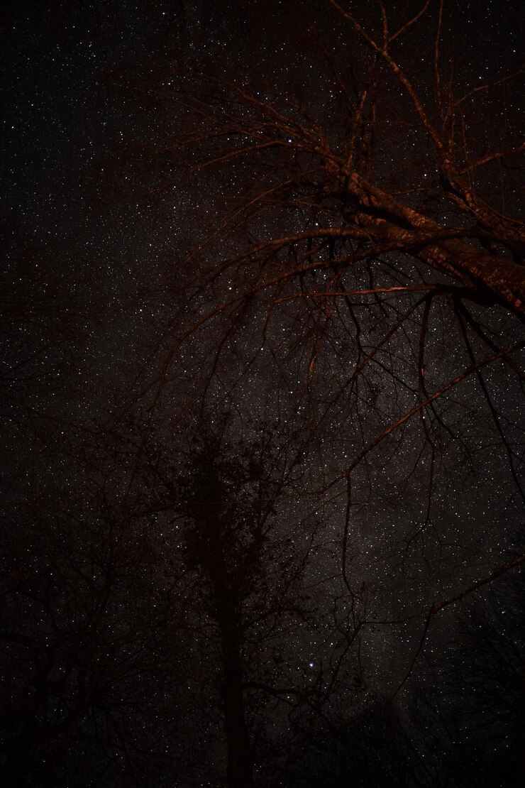 Foto silhouetten van bomen en kosmisch uitzicht 's nachts