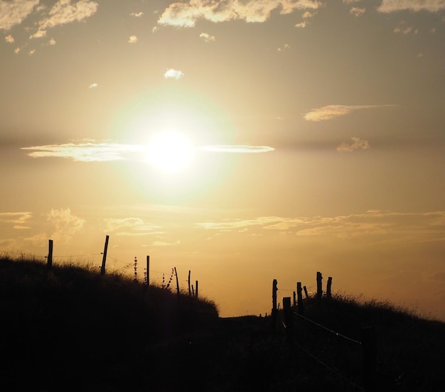 Foto silhouetten van bomen in het landschap tegen de hemel bij zonsondergang