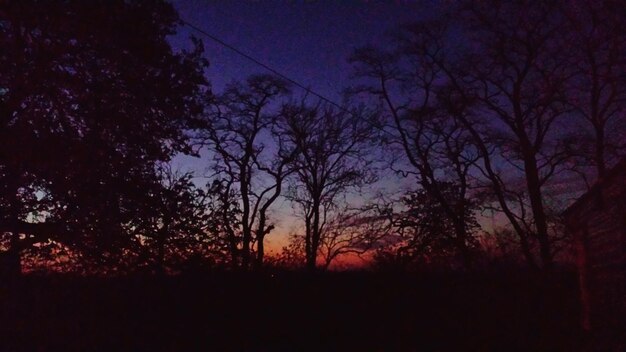 Foto silhouetten van bomen op het veld bij zonsondergang